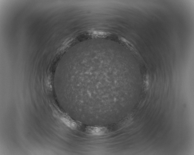 X0000080700663200612151316