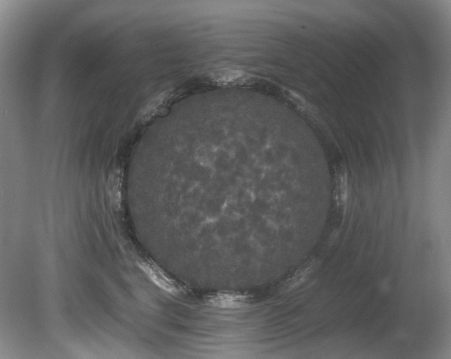 X0000080700664200612151316