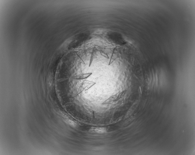 X0000080700665200612151316