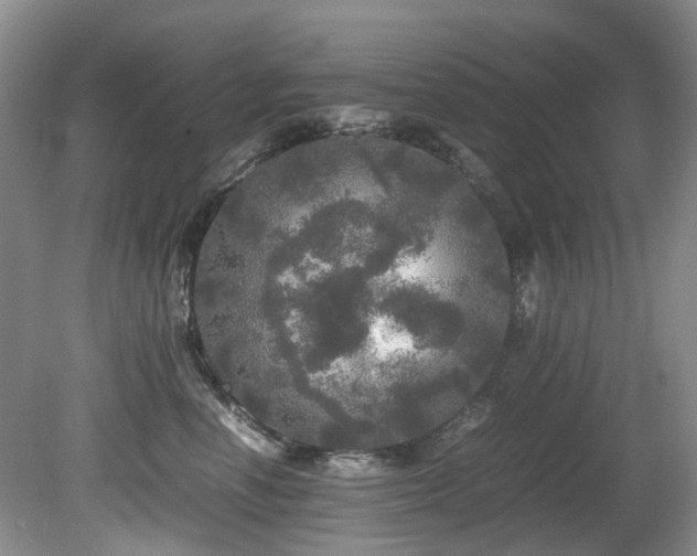 X0000080700666200612151316