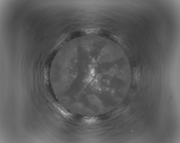 X0000080700667200612151316
