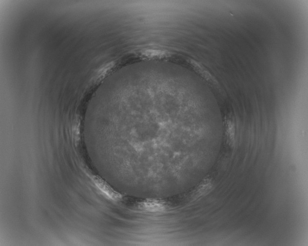 X0000080700668200612151316