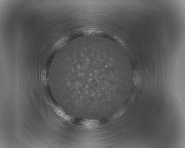 X0000080700670200612151316