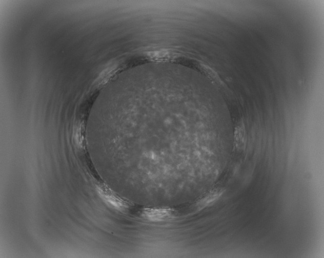 X0000080700671200612151316