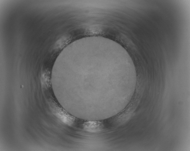 X0000080700672200612151316