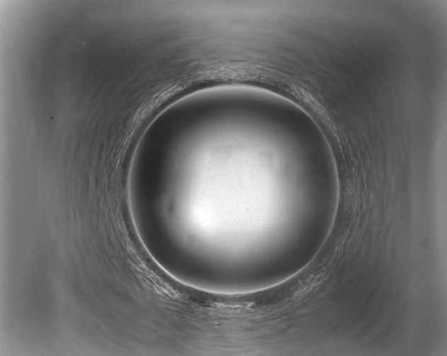X0000080700673200612151315