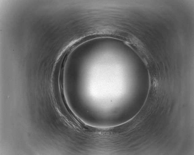 X0000080700676200612151315