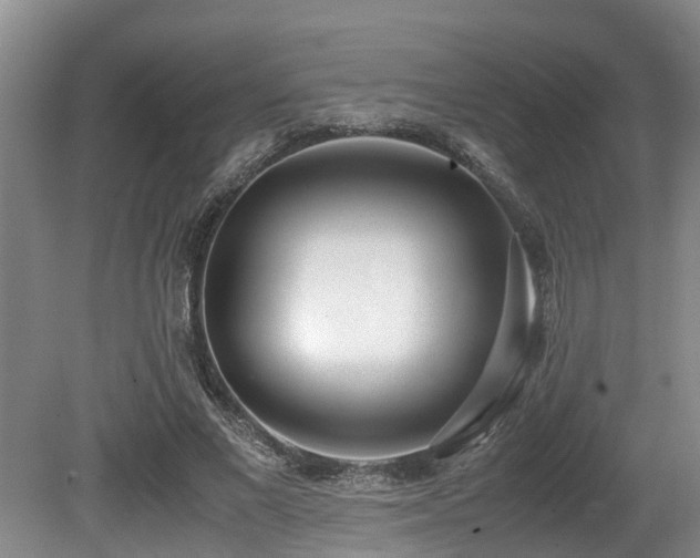 X0000080700685200612151315