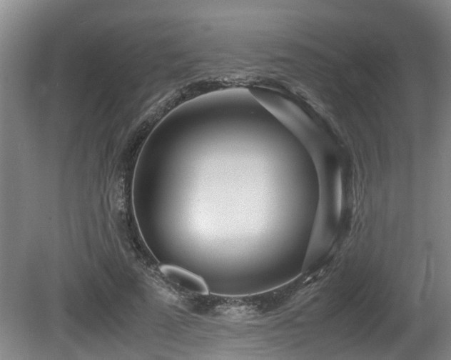 X0000080700689200612151315