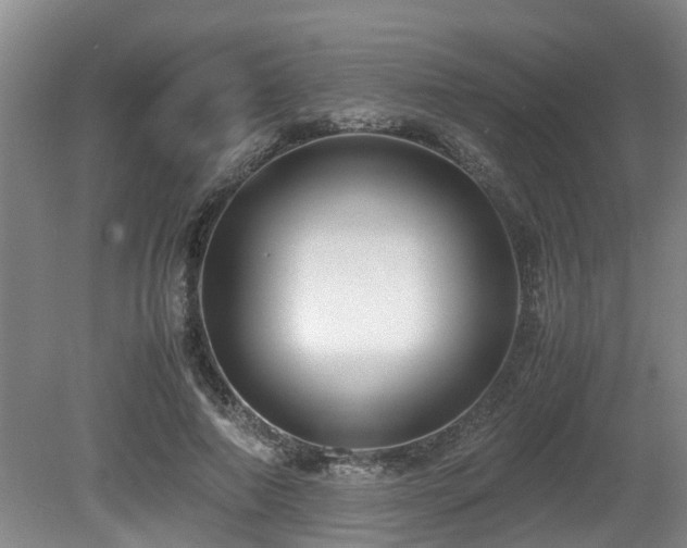 X0000080700690200612151315