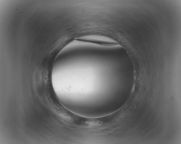X0000080700693200612151315