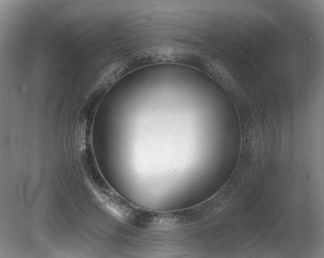X0000080700694200612151315