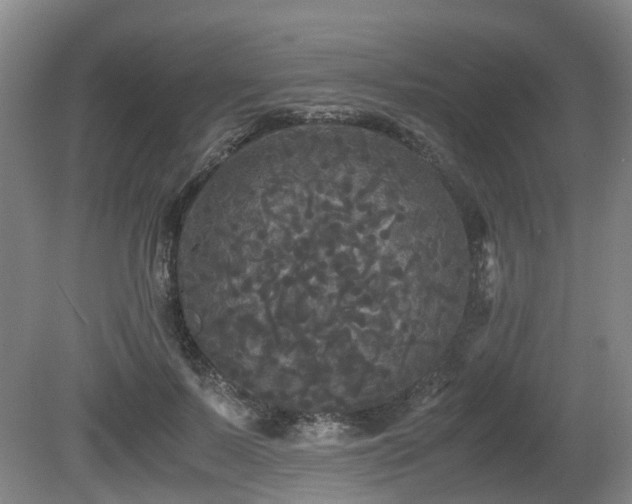 X0000080700695200612151315