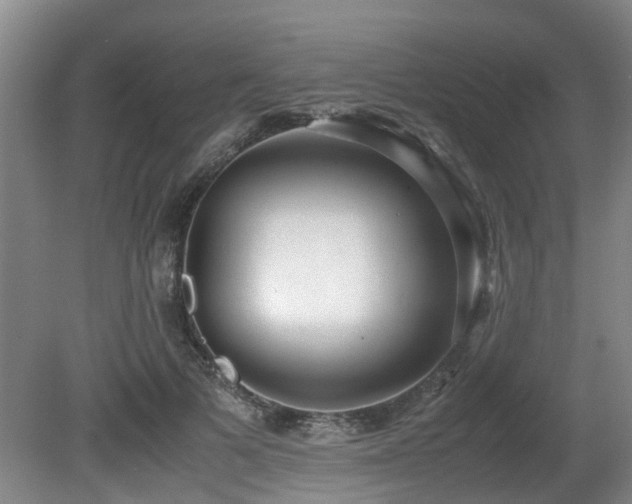 X0000080700697200612151315