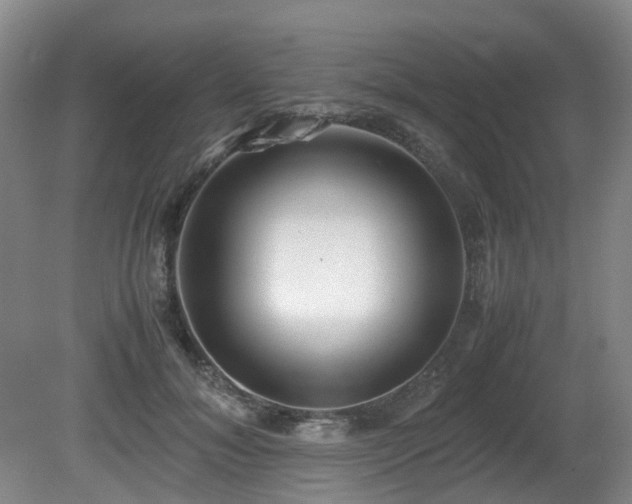 X0000080700700200612151315