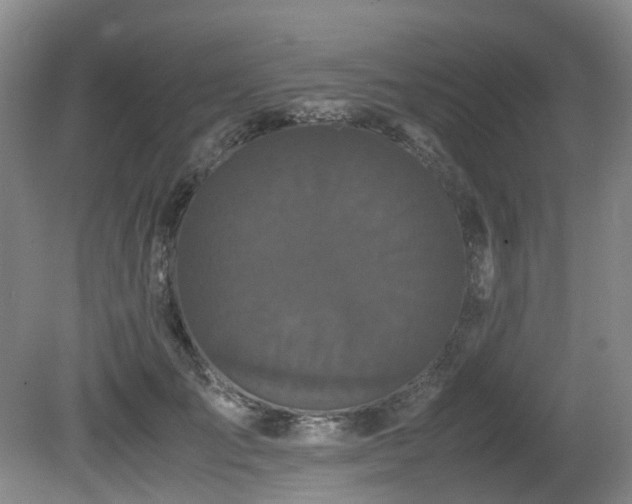 X0000080700701200612151315