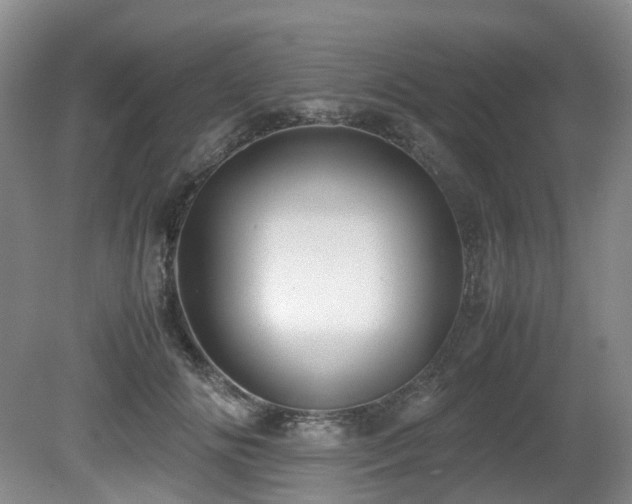 X0000080700702200612151315
