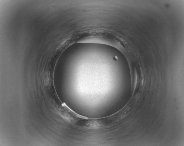 X0000080700704200612151315