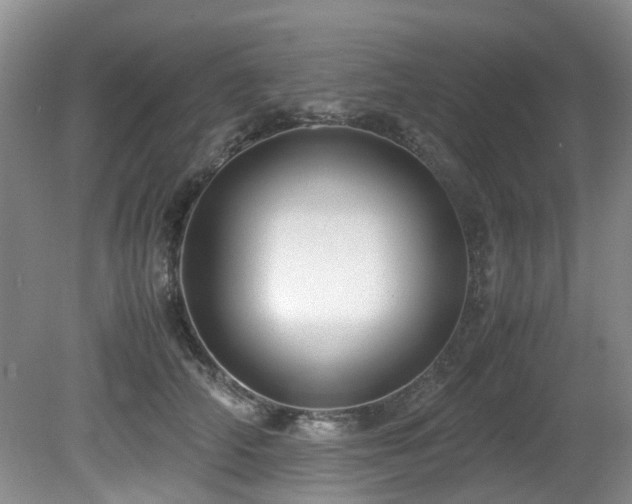 X0000080700706200612151315