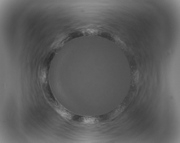 X0000080700709200612151315