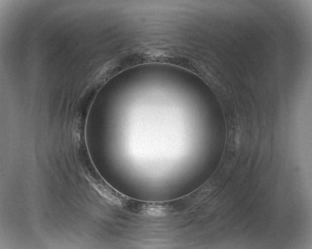X0000080700710200612151315