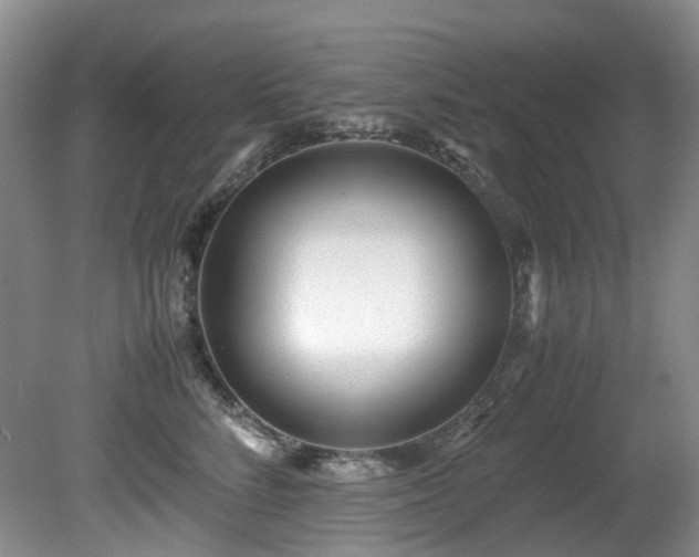 X0000080700712200612151315