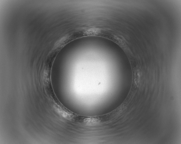 X0000080700714200612151315