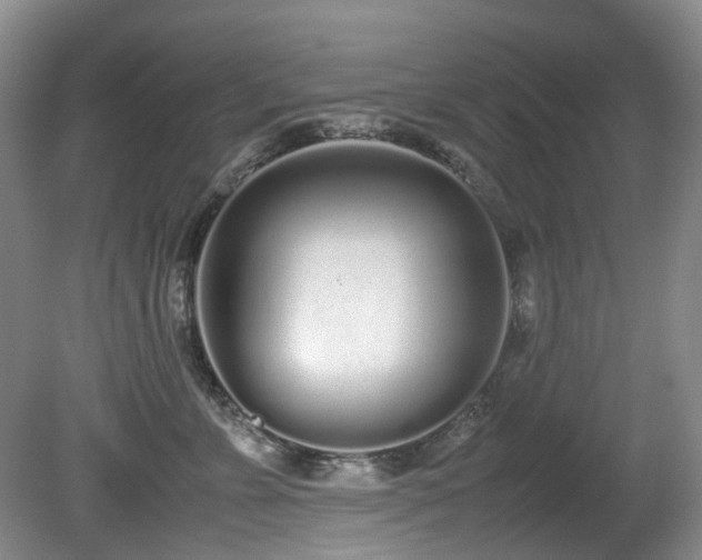 X0000080700715200612151315