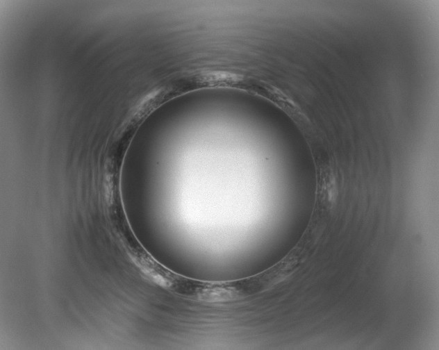 X0000080700716200612151315