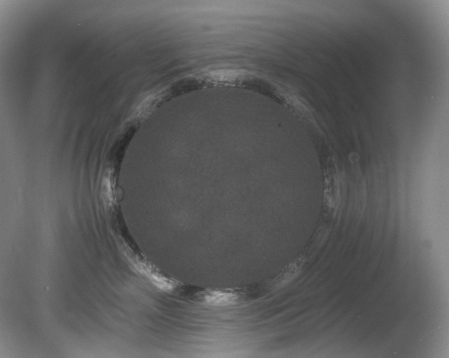 X0000080700718200612151314