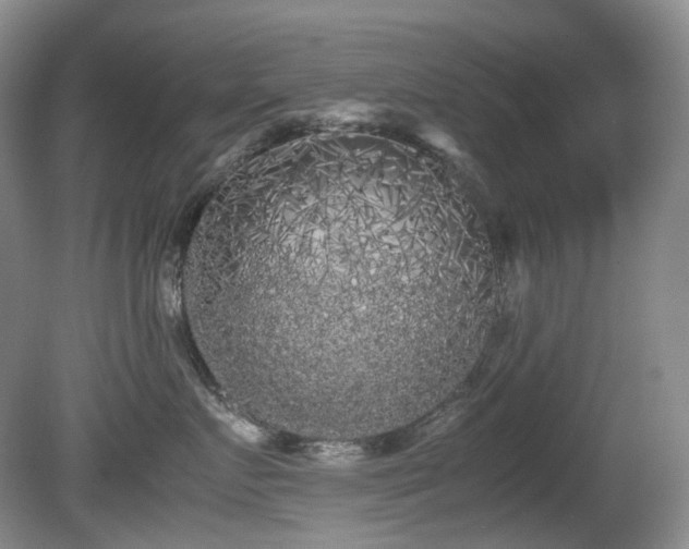 X0000080700719200612151314