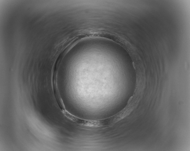 X0000080700720200612151314