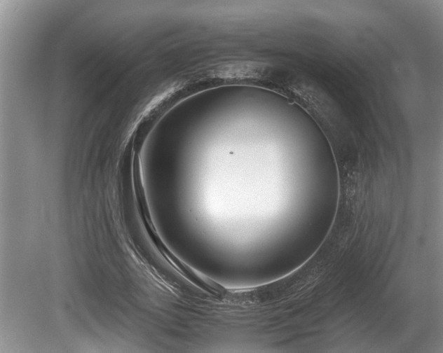 X0000080700727200612151314