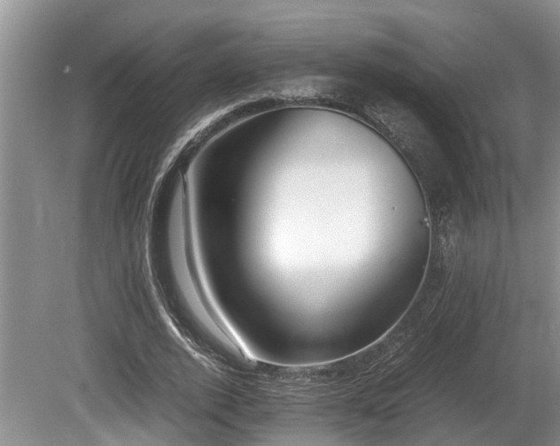 X0000080700728200612151314