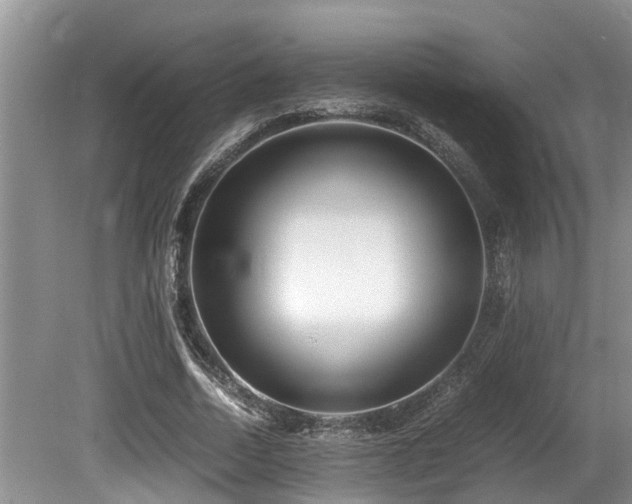 X0000080700730200612151314
