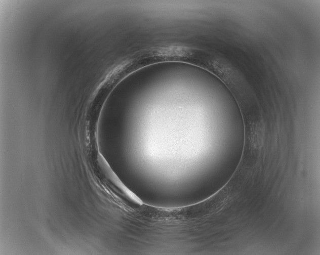 X0000080700731200612151314