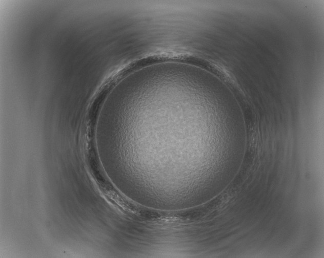 X0000080700736200612151314