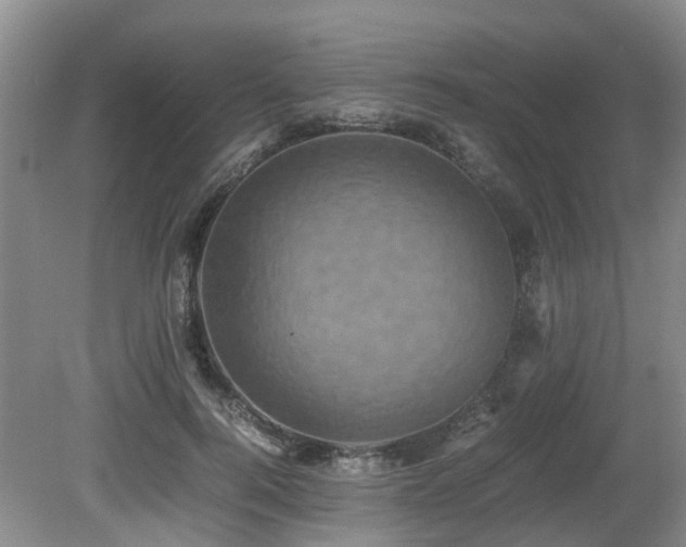 X0000080700744200612151314