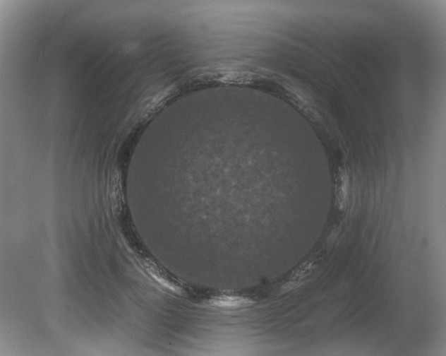 X0000080700748200612151314