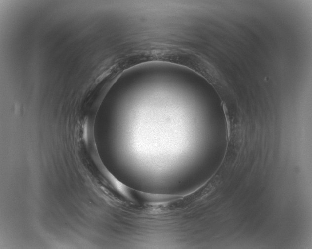 X0000080700750200612151314