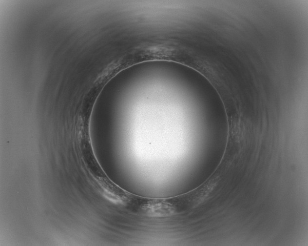 X0000080700752200612151314