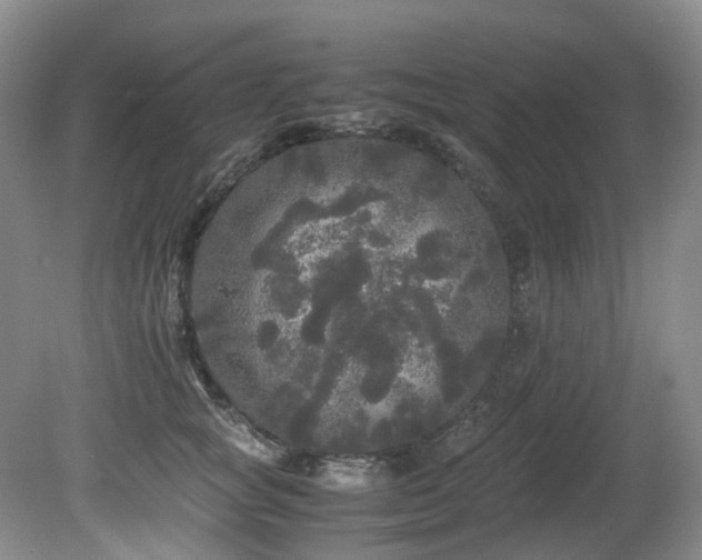 X0000080700757200612151314