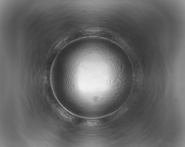 X0000080700758200612151314