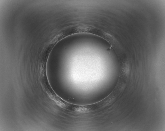 X0000080700759200612151314
