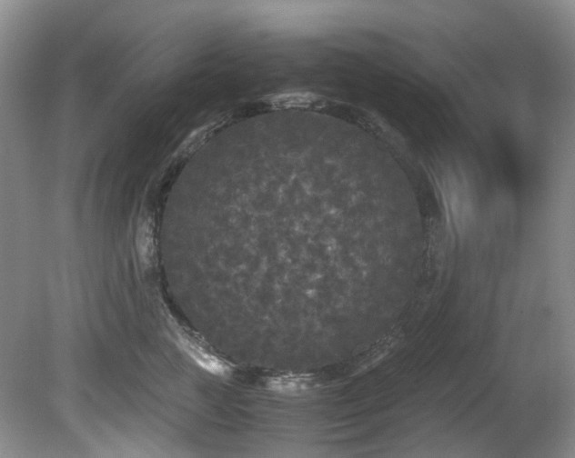 X0000080700761200612151314