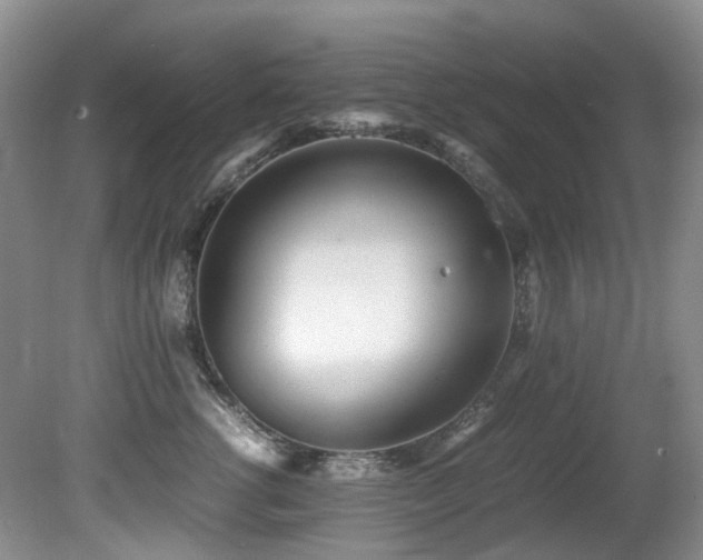 X0000080700762200612151314
