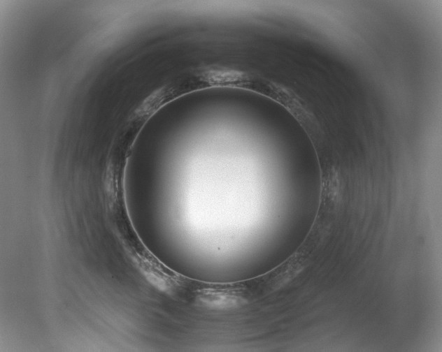 X0000080700763200612151314