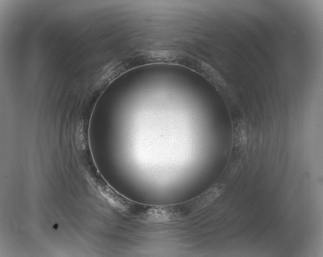X0000080700764200612151314