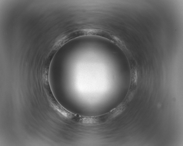 X0000080700766200612151314