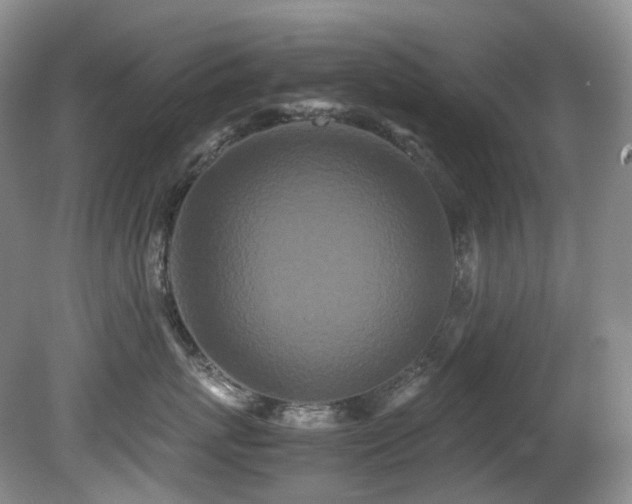 X0000080700767200612151314